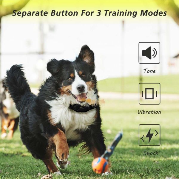High End Fashion Large Dog Training E-Collar Set 4000FT 1200M Remote Waterproof IPX7 Rechargeable Eco-Friendly Nylon Shock