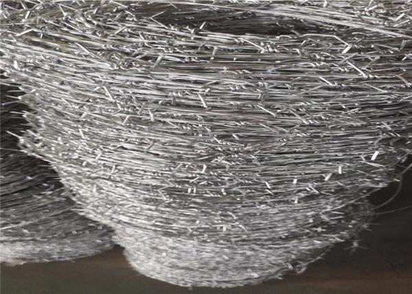 Stainless Steel Galvanized Barbed Wire Coiled Barbed Wire Bulk Barbed Wire