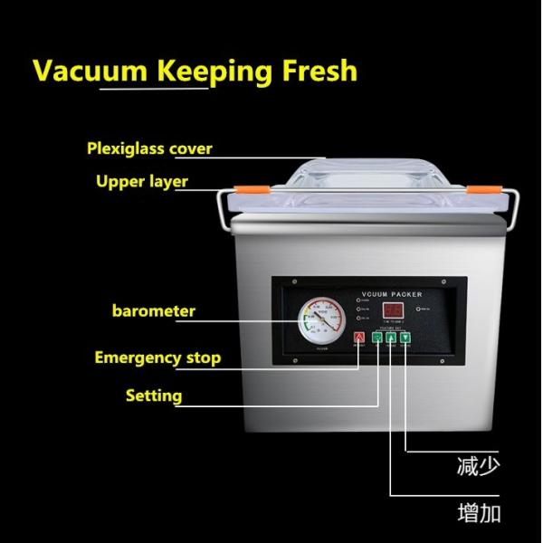 Long Service Life Desktop Vacuum Packing Machines For Fresh Meat Fish Vegetable Storage