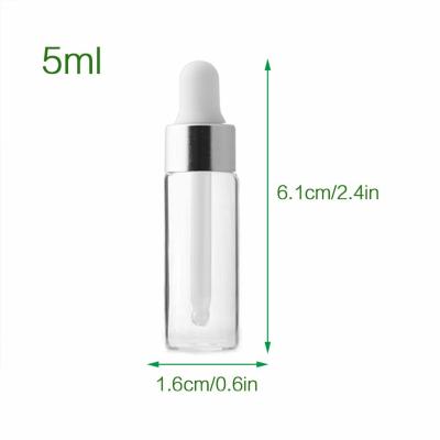 Silver Mini 5ml Essential Oil Bottles OEM ODM Glass Dropper Bottles
