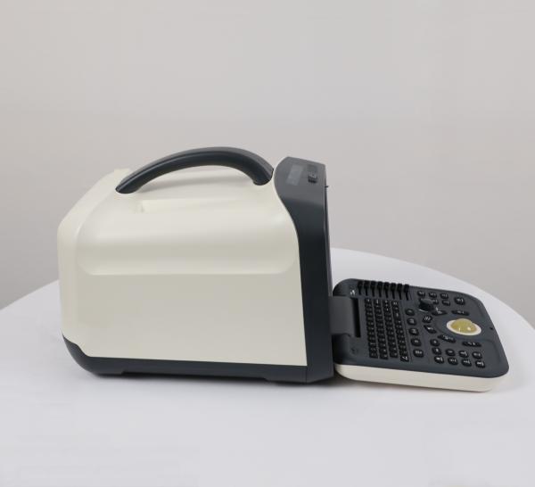 2021 Top Selling Medical Ultrasound Instruments, Portable B&w Ultrasound Scan Machine for Hospital