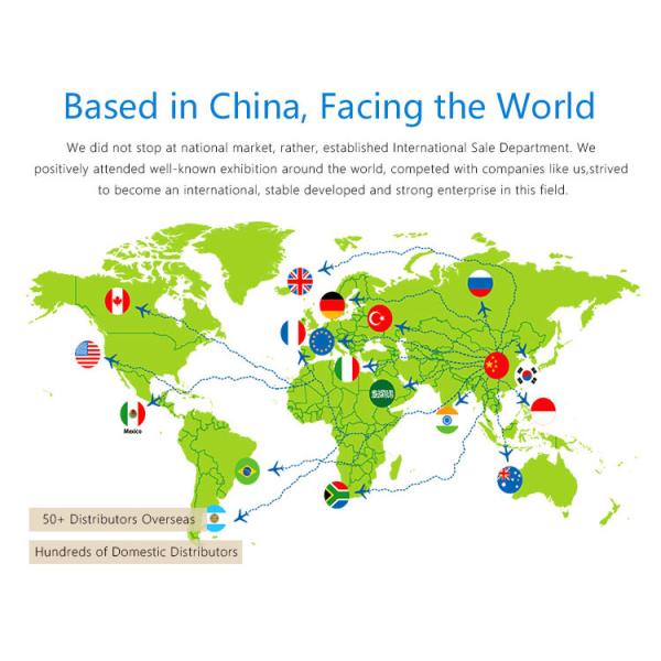 Палы особенное сформированное Ornam камня светящей серии камня автостоянки естественные