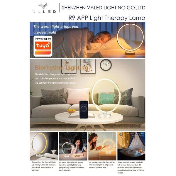 2700K Daglicht Lamp Touch Control / Remote Control Seasonal Affective Disorder Lights