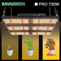 Panneau rouge lointain V3 de BAVA 1000W HPS LM301H SAMSUNG Quantum