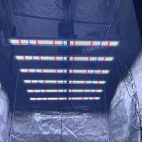 Lumière de croissance LED rouge clair à spectre complet personnalisée 500W Lumières de croissance hydroponiques commerciales intérieures
