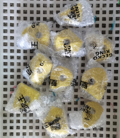 10-дюймовый Gecko King 2018 Скалолазание стены держит в разных цветах для чередования