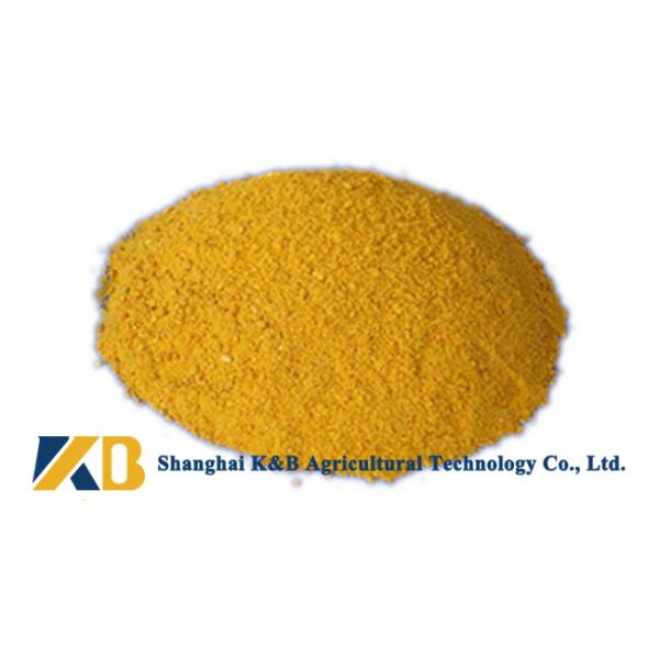 Feed Grade Healthy Corn Protein Powder ISO HACCP Certificate For Fodder