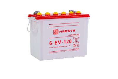 Deep Cycle Golf Cart Batteries , Tubular Flooded Deep Cycle Battery 6-EV-120 EV Series