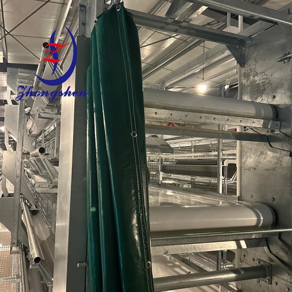 Zhongshen Fertile Belt Supplier China Best Fertile Conveyor Belt Supplier
