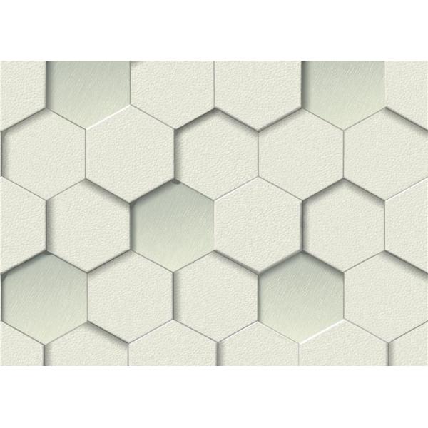 Обои винила влияния крапивницы Пвк 3д украшения Вашабле для кино