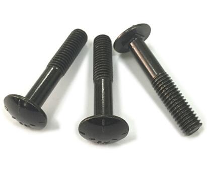 Oxidable Din603 Round Head Black Carriage Bolt Spring Lock Washer Stainless Steel Material