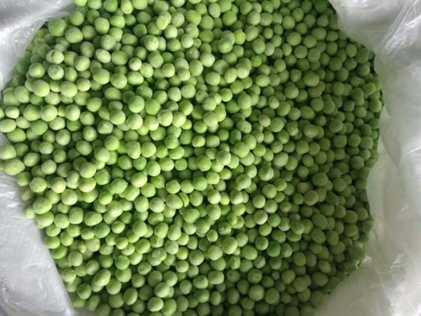 IQF Individually Quick Frozen Green Peas Various Sizes Available
