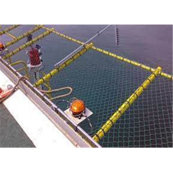 5mm Wire diameter Green Color PVC Coated Helideck Safety Mesh For Helideck safety use