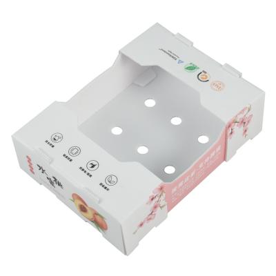 White Plastic Corrugated Containers Shockproof Corrugated Storage Containers For Fruit Vegetable