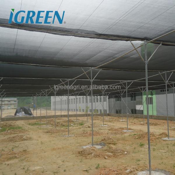 Large Multi-Span Agricultural Greenhouse Bird Net Shade Net Insect Net Farming Equipment