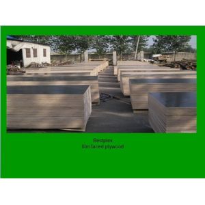1250*2500 FF plywood