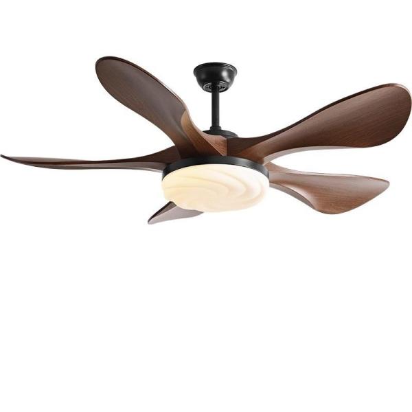 Ventilateur de plafond de 48 pouces avec lumière et télécommande