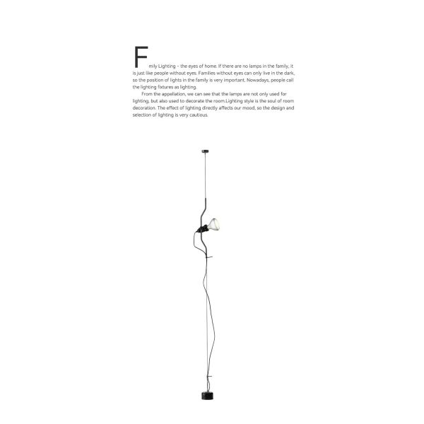 Italian Parentesi Pendant Lamp for Bedroom Bedside Lamp（WH-AP-663）