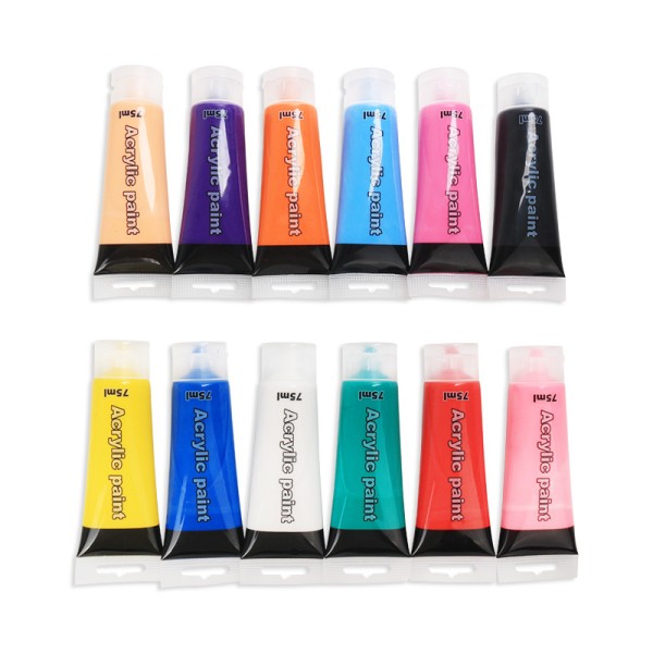 12 Colors 75ml Loose Non-Toxic Tube Artist Acrylic Paint for Kids