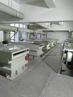 Électrolyse de raffinage argentée complètement automatique d'argent de capacité de la machine 200kg