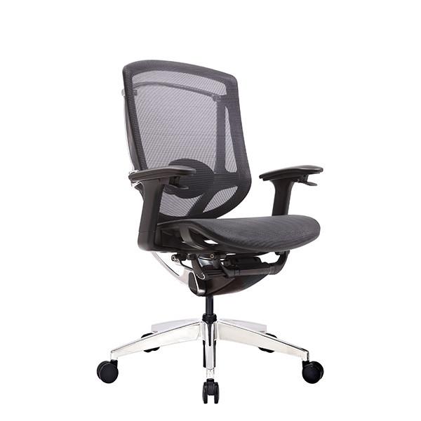 EN 1335 MARRIT Full Mesh Ergonomic Office Chair Revolving Chair For Back Pain
