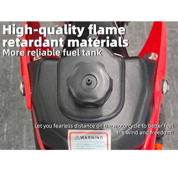 CE Approved 49cc 2 Stroke Kids Orion PCA01 Dirt Bike MAX LOAD 100kg Tires 2.50-10
