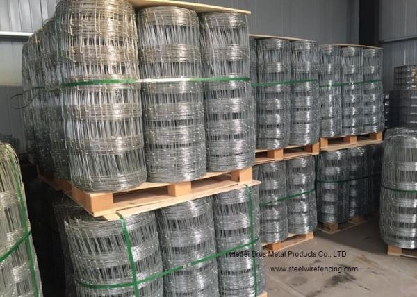 Cattle Farming Fence / Hot-Dipped Filed Wire Mesh Fence For Poultry