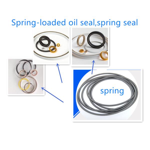 Fully Automatic Oil Seal Spring Loading Machine with Oil Ejector, Spring Feeding machine for oil seal;