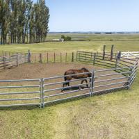 Panneaux de clôture portables galvanisés trempés à chaud de 12 pieds pour chevaux