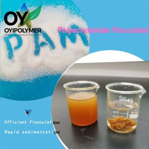 Manufacture White Powder Anionic Polyacrylamide Apam Flocculant Polymer for Shield Sludge Treatment AA6518
