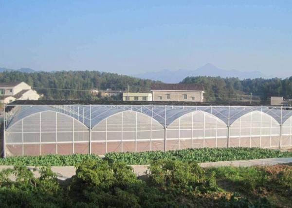 Fruits Flower 8m Single Span PE Plastic Film Greenhouse