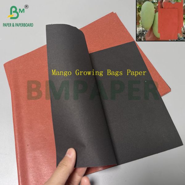 56gsm 380mm 400mm Pest Prevention Mango Growing Bags Paper To Fruit Protect Bags