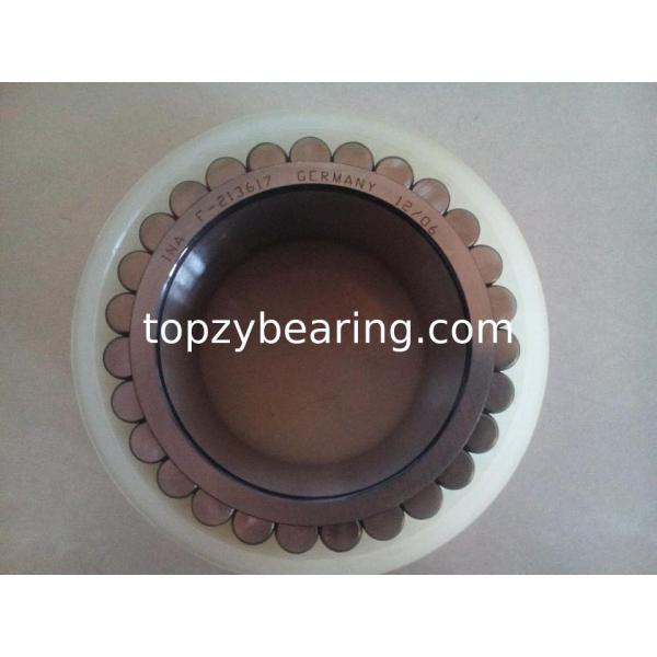 F213617 Full Complement Bearing Cylindrical Roller Bearing F-213617.RNN Gearbox Bearing Size 55x77.07x41mm