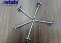 Perfeito BWG 9x2,5 polegadas Galvanizado Nails Roofing Torcido cabeça de guarda-chuva