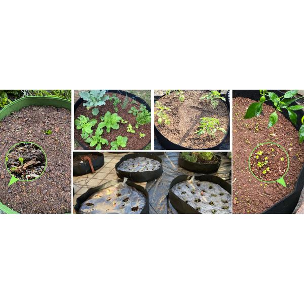 Garden Planter, Fabric Grow Beds Divided Grids, Planting Bags with Drainage Holes, PE Planter Pots for Tomatoes