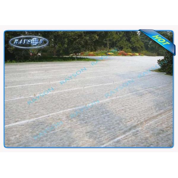 Предохранение от ткани ландшафта воды проницаемое Non сплетенное UV для mulch земледелия