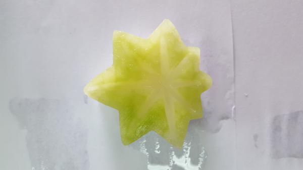 Frozen Winter Melon(White Gourd), leaf-shaped, flower-shaped etc. for food decoration