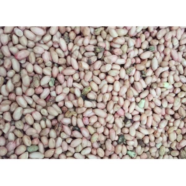 Recyclable 7 Channels Peanut Color Sorter , Cashew Nut Sorting Machine