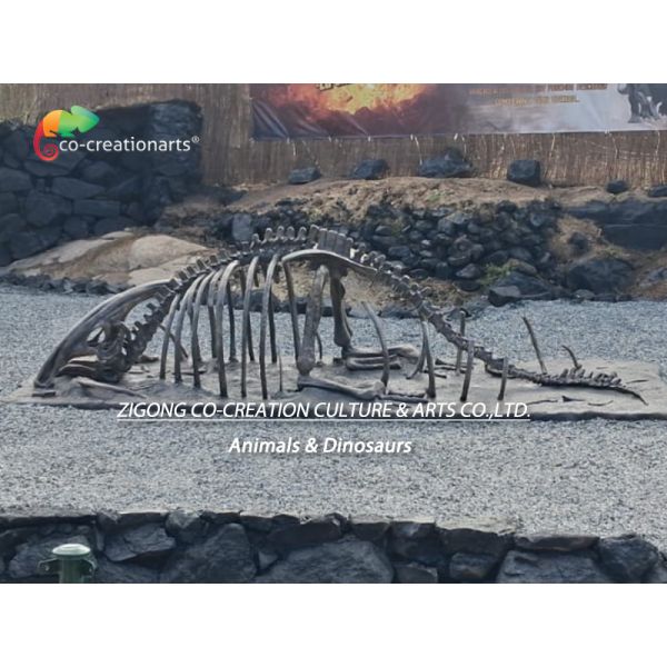 Fiberglass Dinosaur Skeleton Fossil Remains Parasaurolophus Skeleton Replicas