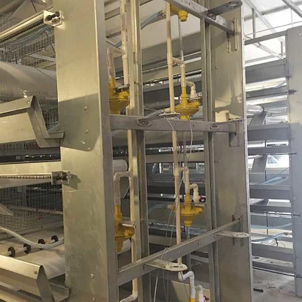 Rigid Q235 Steel Baby Chick Cage Multi Doors High Performance For Farm