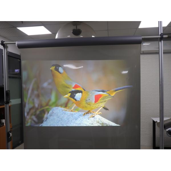 Прозрачное фильма 100um 3D проекции сверхконтрастной собственной личности слипчивое голографическое