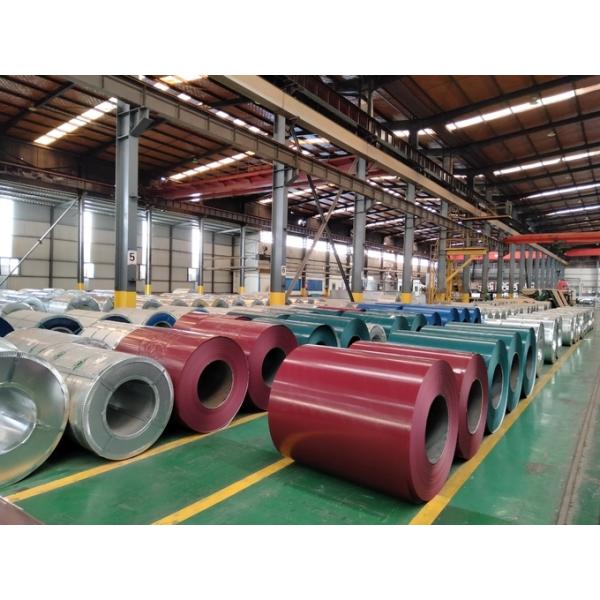 Cold Rolled CGCC Prepainted Galvanized Steel Coils 0.50mm Color Coated HDP PPGL