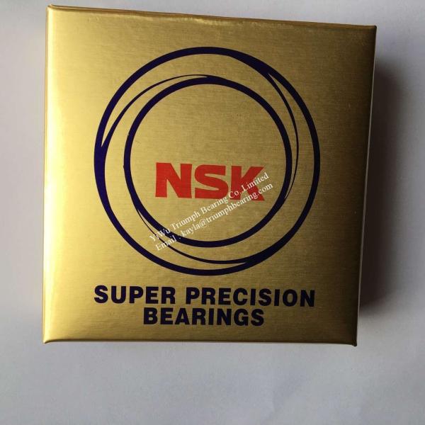 NSK Double-Row Cylindrical Roller Bearing  NN3012TKRCC1P4