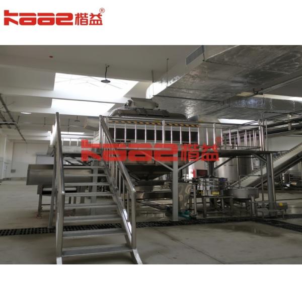 Stainless Steel Berry Juicer Processing Line Juice Extractor Machine