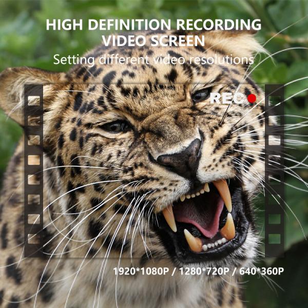 KW696 outdoor wildlife hunting camera dual-lens 30MP no-glow trail camera 1080p night vision 512G forest camera infrared