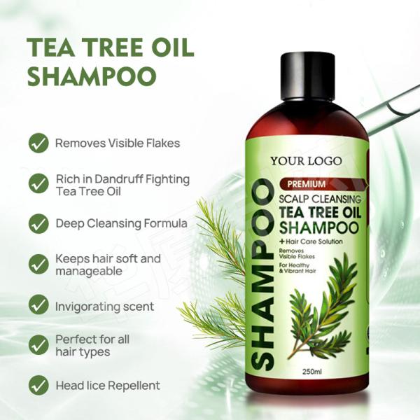 Organic Sulphate Free Anti Hair Loss Shampoo Anti Dandruff Argan Oil