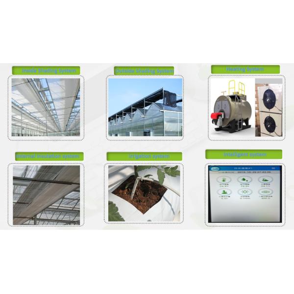 Weather Resistance Hydroponic System Greenhouse Multispan For Planting