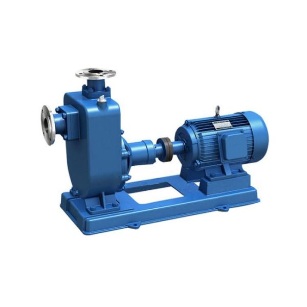 Cast Iron Stainless Steel Petroleum Chemical Pump For Petrochemical Industry