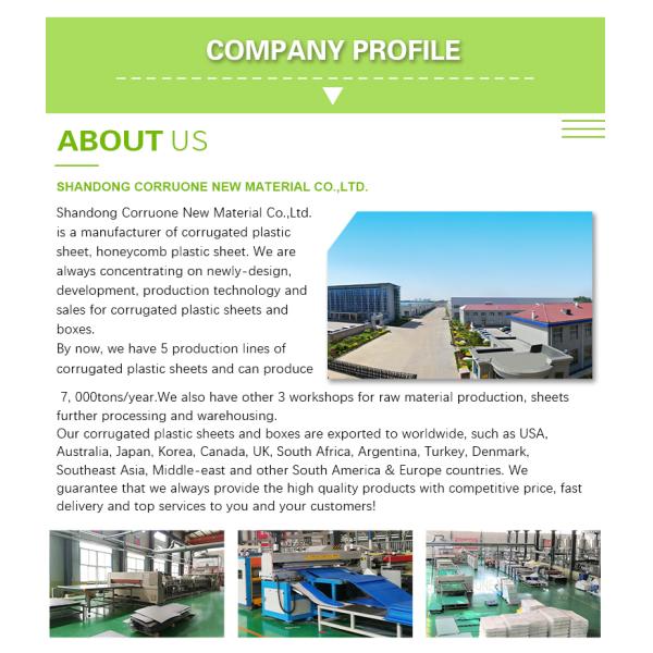 Плод гофрировал коробку рифленого листа PP брокколи пластиковой упаковки