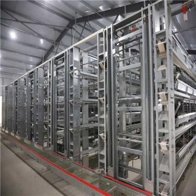 Low Noise Poultry Egg Production Equipment , H Type 4  Tier Chicken Poultry Equipment